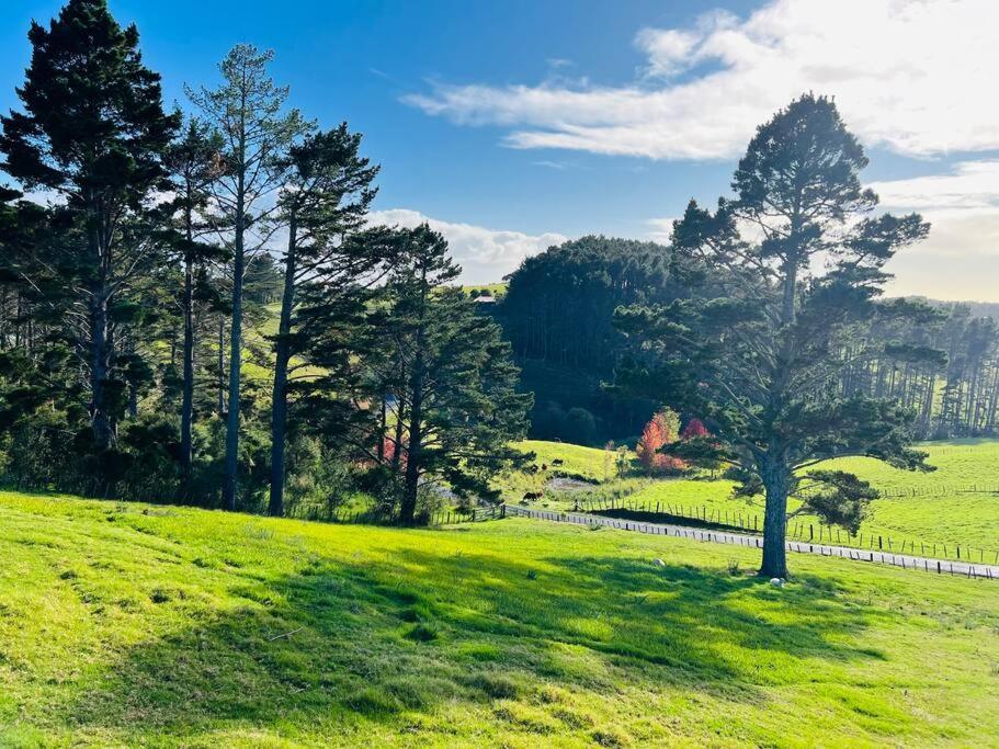 Rural Paradise 30 Mins From Auckland Cbd Villa Luaran gambar